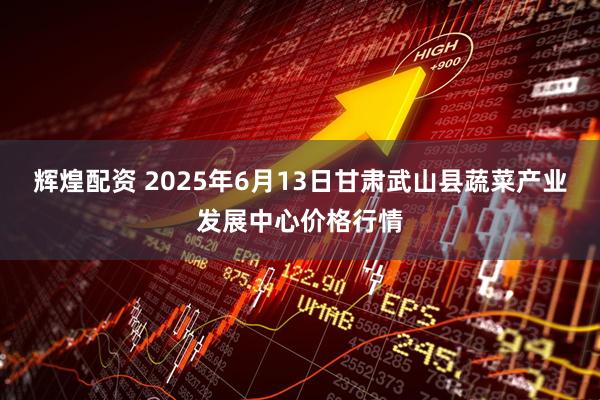 辉煌配资 2025年6月13日甘肃武山县蔬菜产业发展中心价格行情