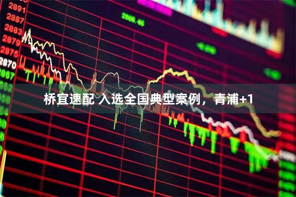 桥宜速配 入选全国典型案例，青浦+1