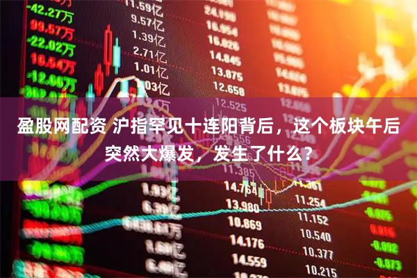 盈股网配资 沪指罕见十连阳背后，这个板块午后突然大爆发，发生了什么？