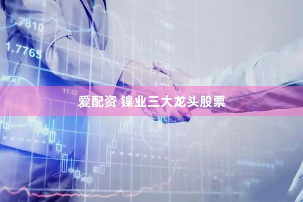 爱配资 镍业三大龙头股票