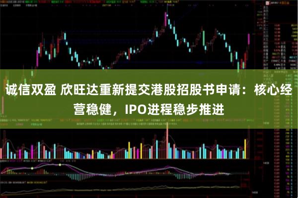 诚信双盈 欣旺达重新提交港股招股书申请：核心经营稳健，IPO进程稳步推进