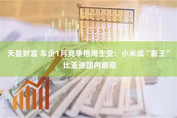 天盈财富 车企1月竞争格局生变：小米成“新王” 比亚迪国内磨底